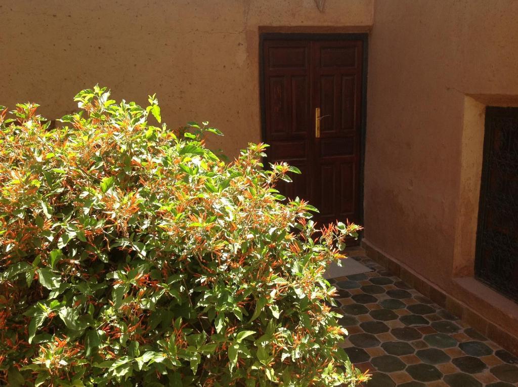 Riad Timadrouine Timatraouine Kamer foto
